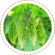 Karela